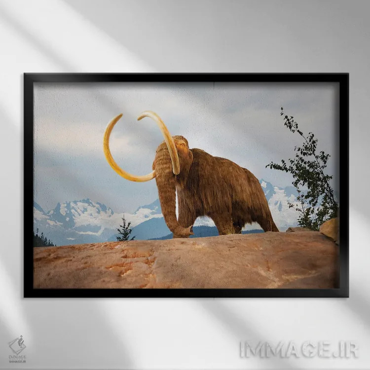 تابلو تصویر ترکیبی دیجیتالی: پریهای دریایی در میان دلفینها و مرجانها اثر دیوید فلیتهام - نمای قابدار مشکی