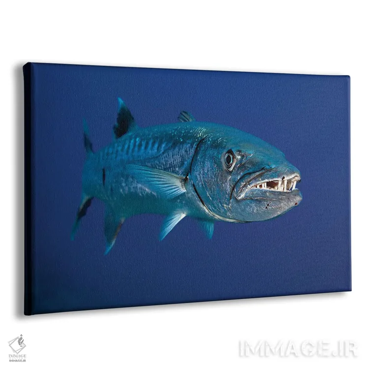 تابلو Red Sea,ماهی بنرفیش باله‌دراز (هنیوکوس آکومیناتوس)، دریای سرخ اثر دیوید فلیتهام - نمای پرسپکتیو محصول