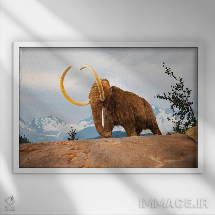 تابلو تصویر ترکیبی دیجیتالی: پریهای دریایی در میان دلفینها و مرجانها اثر دیوید فلیتهام - نمای قابدار سفید