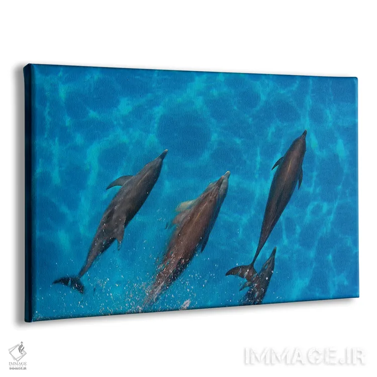 تابلو Fiji,ماهی آنتیاس دمچنگی (پسودآنتیاس اسکوامیپینیس)، فیجی اثر دیوید فلیتهام - نمای پرسپکتیو محصول