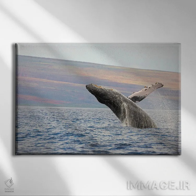 تابلو وال کوهاندار در حال بیرون پریدن نزدیک هاوایی اثر دیوید فلیتهام - نمای روبهرو روی دیوار
