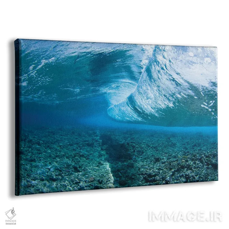 تابلو Micronesia,گله ماهی پروانهای (کاتودون) و آنتیاس، میکرونزی اثر دیوید فلیتهام - نمای پرسپکتیو محصول