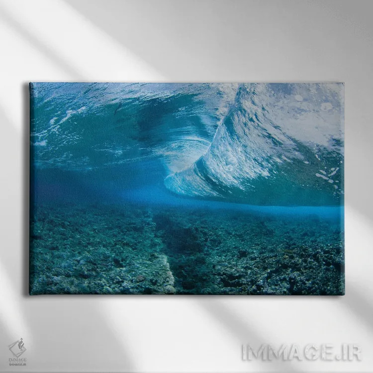 تابلو Micronesia,گله ماهی پروانهای (کاتودون) و آنتیاس، میکرونزی اثر دیوید فلیتهام - نمای روبهرو روی دیوار