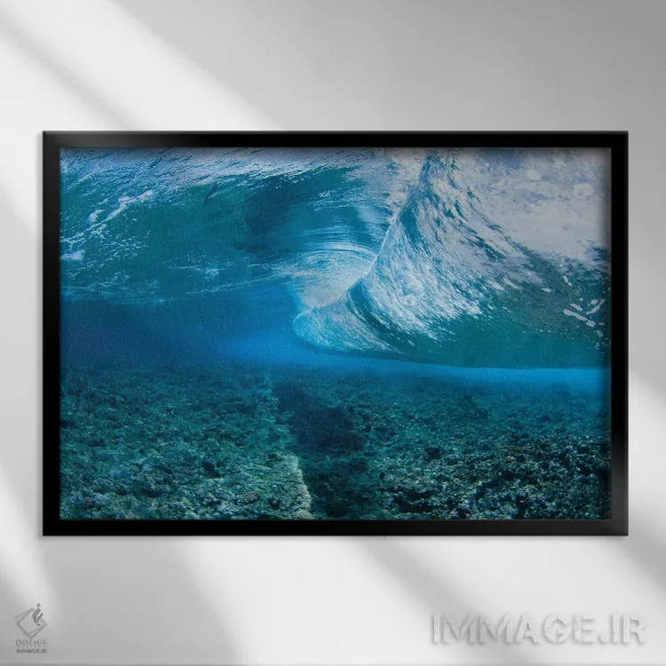 تابلو Micronesia,گله ماهی پروانهای (کاتودون) و آنتیاس، میکرونزی اثر دیوید فلیتهام - نمای قابدار مشکی