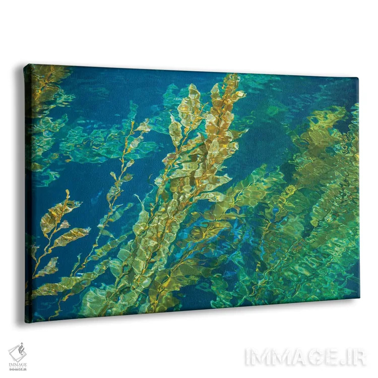 تابلو علف دریایی غولپیکر روی سطح مواج آب اثر دیوید فلیتهام - نمای پرسپکتیو محصول