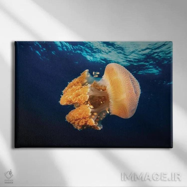 تابلو Thailand,عروس دریایی ریزوستوم در دریای آندامان، تایلند اثر دیوید فلیتهام - نمای روبهرو روی دیوار