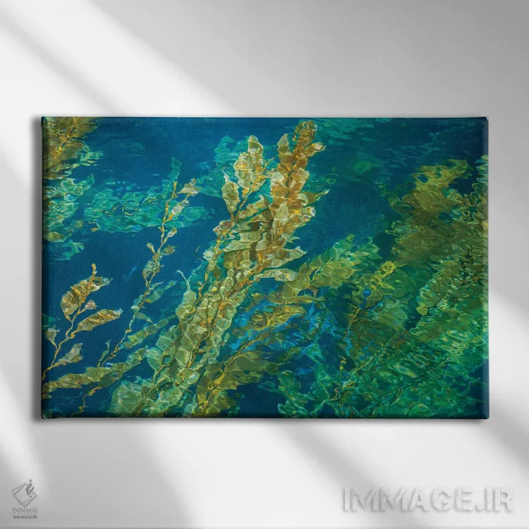 تابلو علف دریایی غولپیکر روی سطح مواج آب اثر دیوید فلیتهام - نمای روبهرو روی دیوار