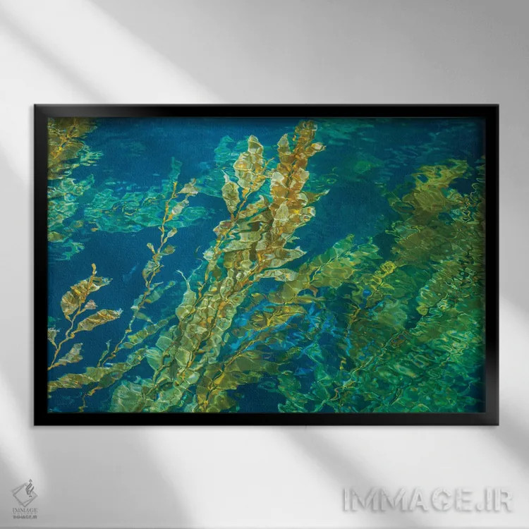 تابلو علف دریایی غولپیکر روی سطح مواج آب اثر دیوید فلیتهام - نمای قابدار مشکی