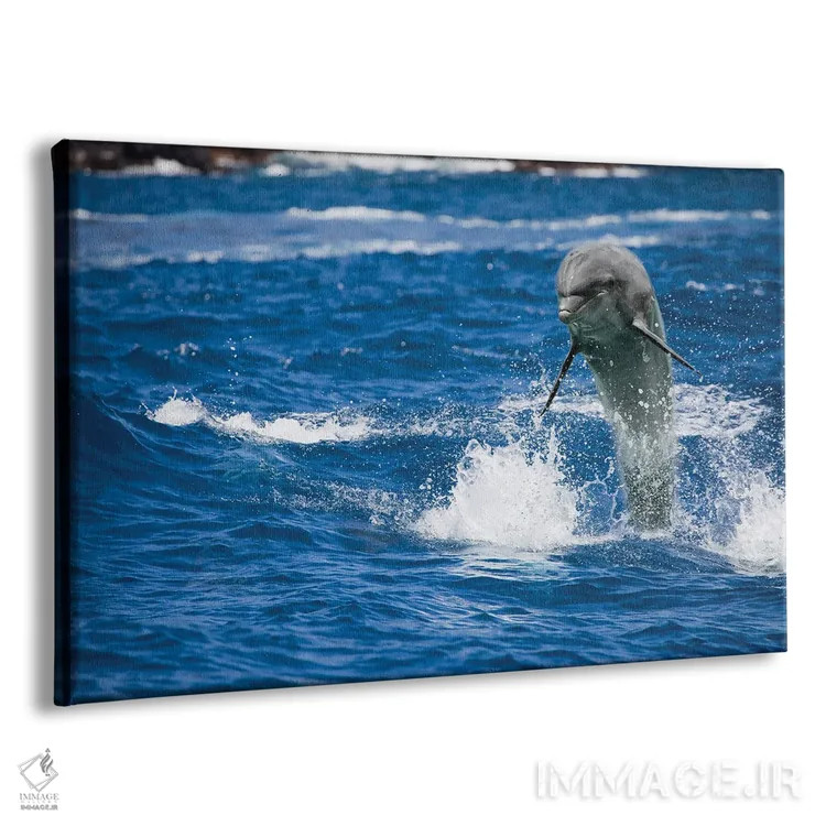 تابلو Tursiops Truncatus, Jumping Out Of The Ocean Off Hawaii,یک دلفین بینیبطری (Tursiops truncatus) که از اقیانوس در نزدیکی هاوایی بیرون میپرد اثر دیوید فلیتهام - نمای پرسپکتیو محصول