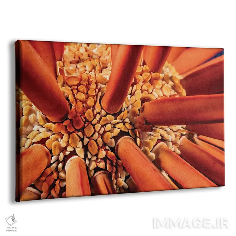 تابلو Heterocentrotus Mammillatus, Hawaii,نمای نزدیک بین خارهای خارپشت دریایی مدادی (Heterocentrotus mammillatus)، هاوایی اثر دیوید فلیتهام - نمای پرسپکتیو محصول