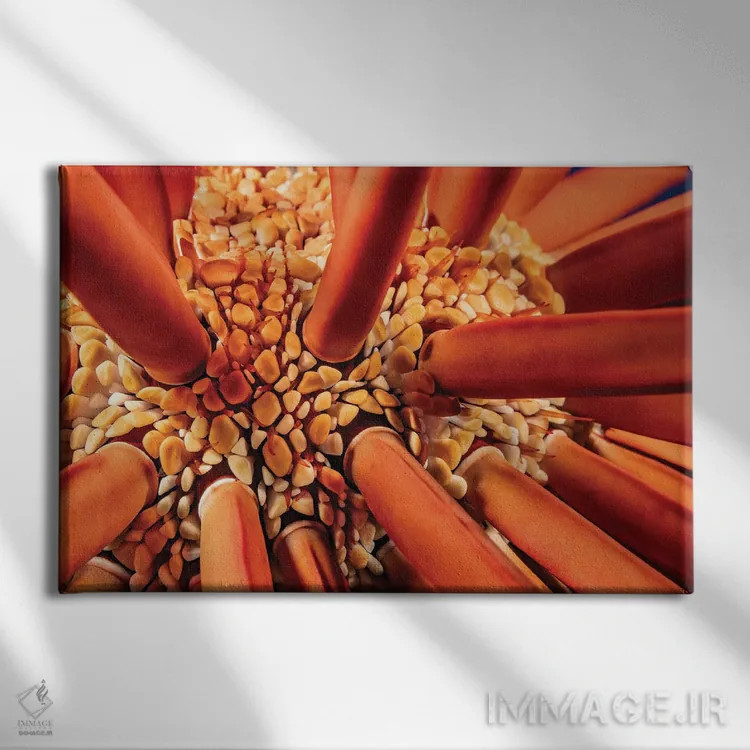 تابلو Heterocentrotus Mammillatus, Hawaii,نمای نزدیک بین خارهای خارپشت دریایی مدادی (Heterocentrotus mammillatus)، هاوایی اثر دیوید فلیتهام - نمای روبهرو روی دیوار