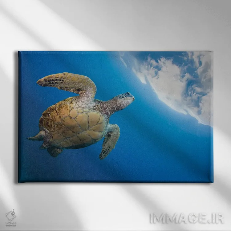 تابلو Chelonia Mydas, Heads To The Surface For A Breath, Hawaii,یک لاکپشت سبز دریایی (Chelonia mydas) که برای تنفس به سطح میآید، هاوایی اثر دیوید فلیتهام - نمای روبهرو روی دیوار