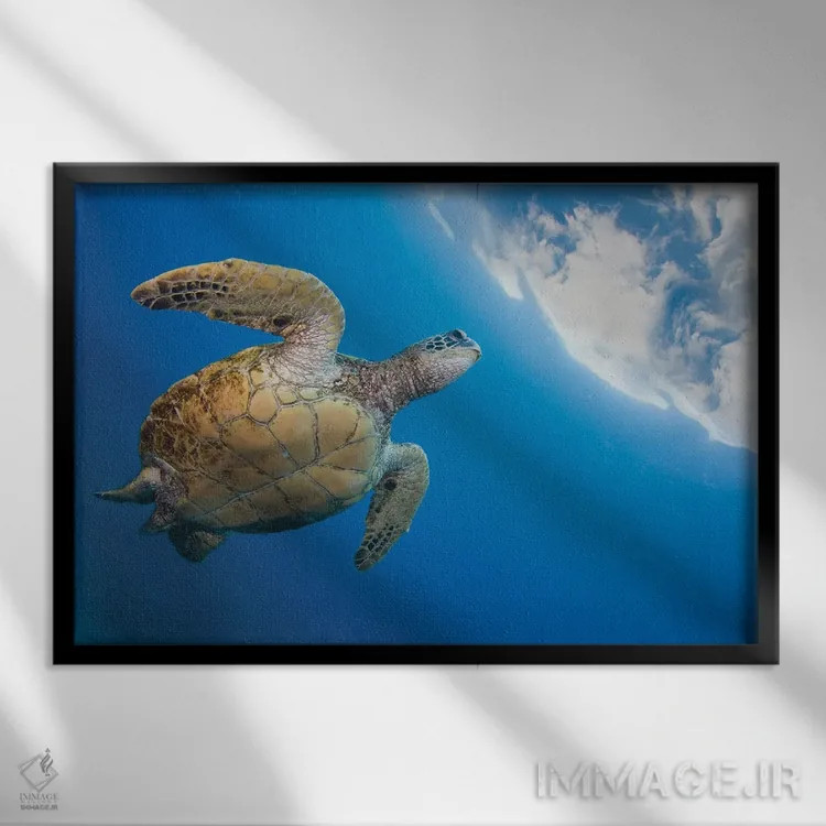 تابلو Chelonia Mydas, Heads To The Surface For A Breath, Hawaii,یک لاکپشت سبز دریایی (Chelonia mydas) که برای تنفس به سطح میآید، هاوایی اثر دیوید فلیتهام - نمای قابدار مشکی