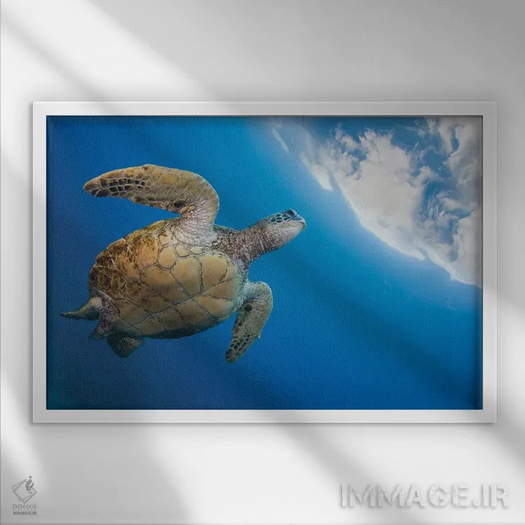 تابلو Chelonia Mydas, Heads To The Surface For A Breath, Hawaii,یک لاکپشت سبز دریایی (Chelonia mydas) که برای تنفس به سطح میآید، هاوایی اثر دیوید فلیتهام - نمای قابدار سفید