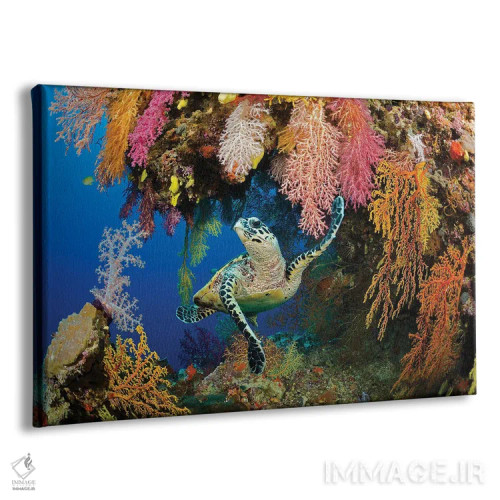 تابلو Eretmochelys Imbricata, In A Colorful Overhang On A Reef In The Koro Sea, Fiji,یک لاکپشت منقارشانهای (Eretmochelys imbricata) در بخش برآمده رنگارنگ یک صخره در دریای کورو، فیجی اثر دیوید فلیتهام - نمای پرسپکتیو محصول