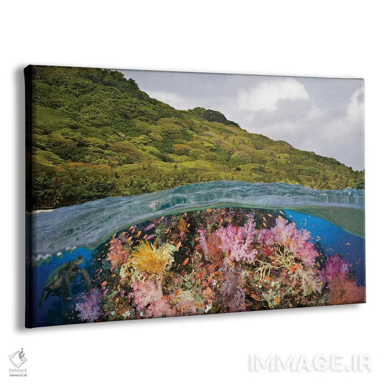 تابلو Half Below Look At A Fijian Reef With Gorgonian Coral And A Green Sea Turtle, Fiji,نمای نیمهبالا، نیمهزیر از یک صخره مرجانی فیجیایی با مرجان گورگونیان و یک لاکپشت سبز دریایی، فیجی اثر دیوید فلیتهام - نمای پرسپکتیو محصول
