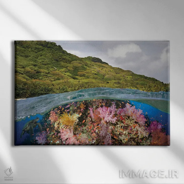 تابلو Half Below Look At A Fijian Reef With Gorgonian Coral And A Green Sea Turtle, Fiji,نمای نیمهبالا، نیمهزیر از یک صخره مرجانی فیجیایی با مرجان گورگونیان و یک لاکپشت سبز دریایی، فیجی اثر دیوید فلیتهام - نمای روبهرو روی دیوار