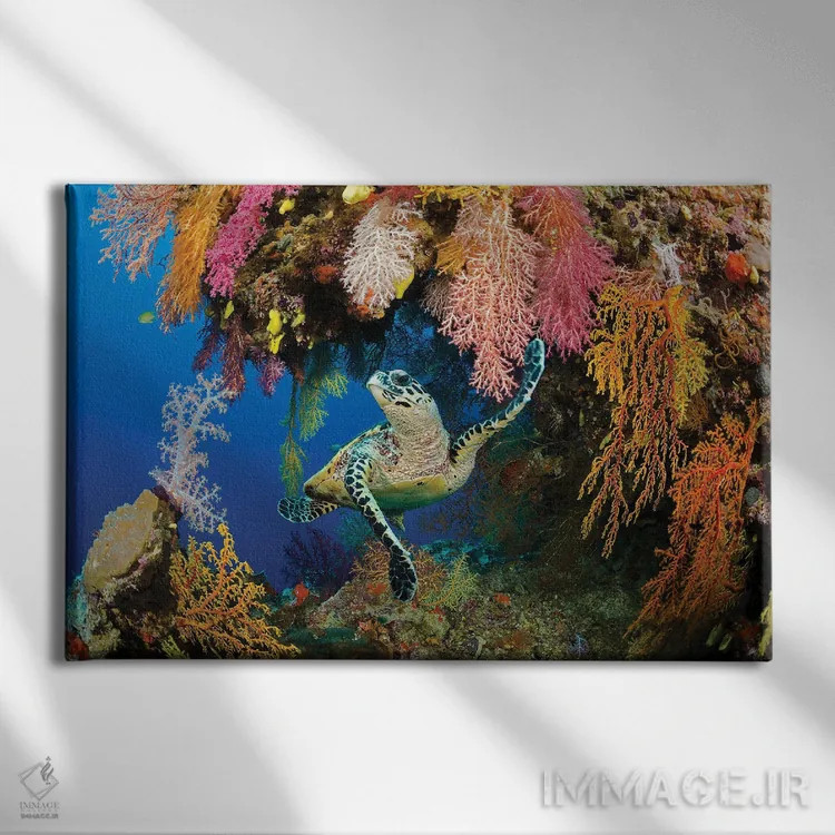 تابلو Eretmochelys Imbricata, In A Colorful Overhang On A Reef In The Koro Sea, Fiji,یک لاکپشت منقارشانهای (Eretmochelys imbricata) در بخش برآمده رنگارنگ یک صخره در دریای کورو، فیجی اثر دیوید فلیتهام - نمای روبهرو روی دیوار