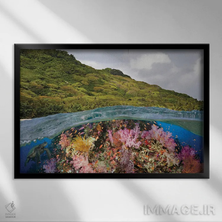 تابلو Half Below Look At A Fijian Reef With Gorgonian Coral And A Green Sea Turtle, Fiji,نمای نیمهبالا، نیمهزیر از یک صخره مرجانی فیجیایی با مرجان گورگونیان و یک لاکپشت سبز دریایی، فیجی اثر دیوید فلیتهام - نمای قابدار مشکی