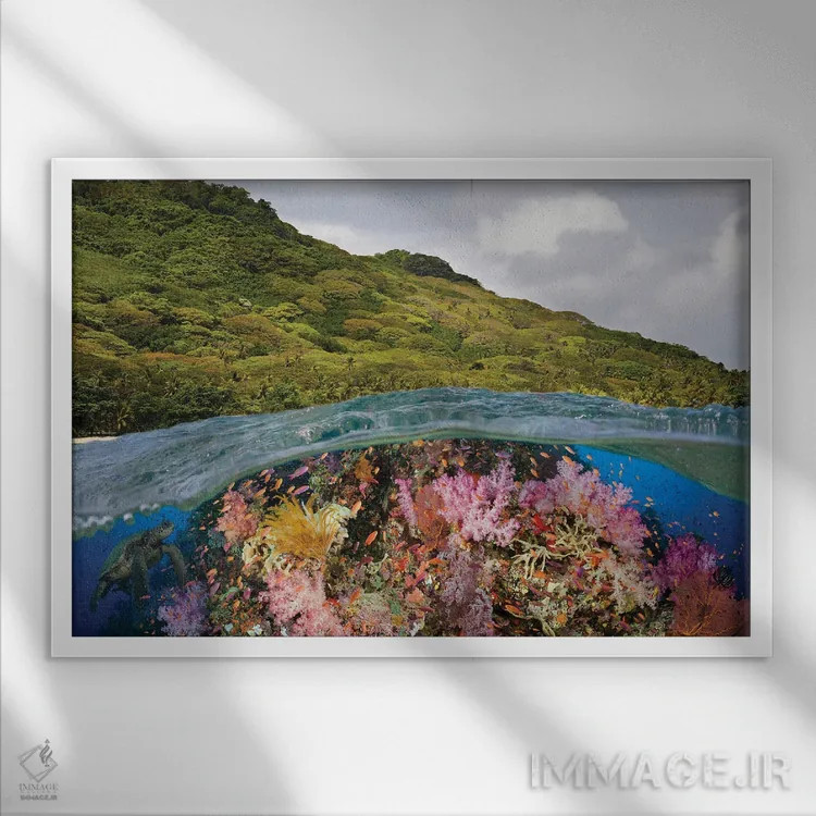 تابلو Half Below Look At A Fijian Reef With Gorgonian Coral And A Green Sea Turtle, Fiji,نمای نیمهبالا، نیمهزیر از یک صخره مرجانی فیجیایی با مرجان گورگونیان و یک لاکپشت سبز دریایی، فیجی اثر دیوید فلیتهام - نمای قابدار سفید