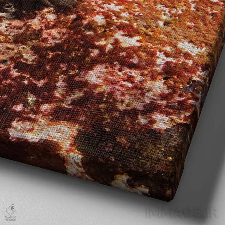 تابلو Amblyrhynchus Cristatus, Feeding On Algae, With Schooling Fish In Background,یک ایگوآنای دریایی (Amblyrhynchus cristatus) در حال تغذیه از جلبک با ماهیان دستهجمعی در پسزمینه اثر دیوید فلیتهام - نمای نزدیک بافت بوم