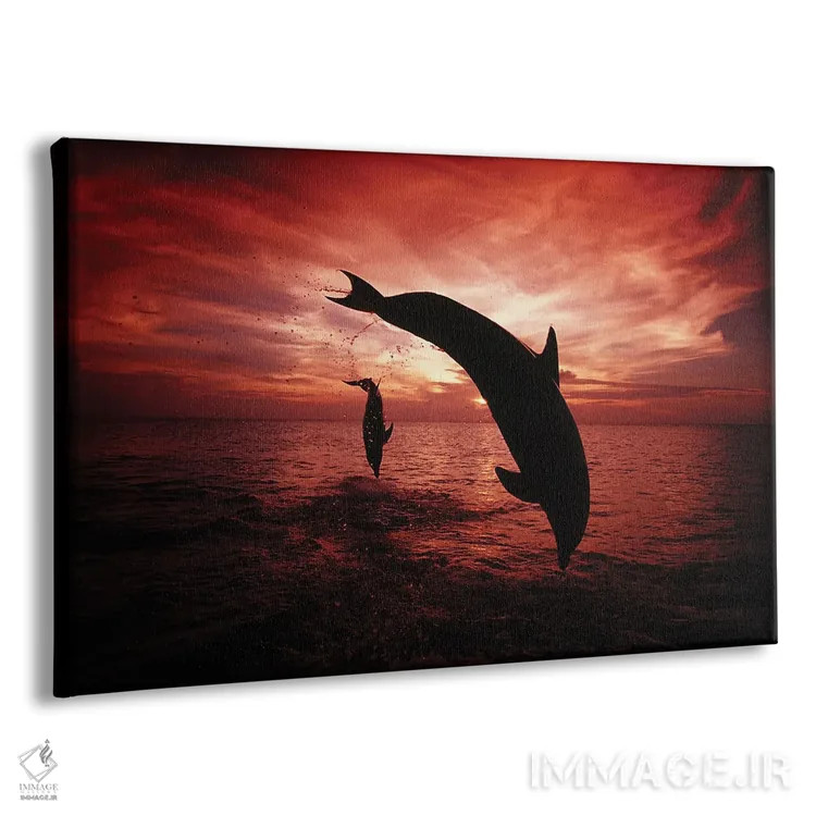 تابلو Tursiops Truncatus, Leap Into A Caribbean Sunset, Roatan, Honduras I,یک جفت دلفین بینیبطری اطلس (گونه: Tursiops truncatus) در حال پریدن به سوی غروب دریای کارائیب، روتان، هندوراس ۱ اثر دیوید فلیتهام - نمای پرسپکتیو محصول