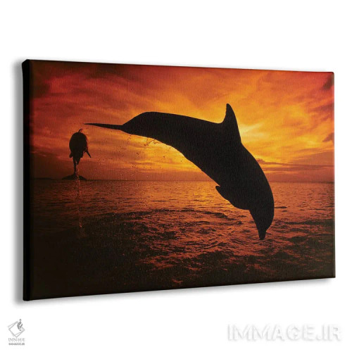 تابلو Tursiops Truncatus, Leap Into A Caribbean Sunset, Roatan, Honduras II,یک جفت دلفین بینیبطری اطلس (گونه: Tursiops truncatus) در حال پریدن به سوی غروب دریای کارائیب، روتان، هندوراس ۲ اثر دیوید فلیتهام - نمای پرسپکتیو محصول