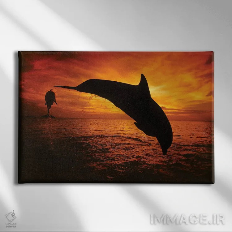 تابلو Tursiops Truncatus, Leap Into A Caribbean Sunset, Roatan, Honduras II,یک جفت دلفین بینیبطری اطلس (گونه: Tursiops truncatus) در حال پریدن به سوی غروب دریای کارائیب، روتان، هندوراس ۲ اثر دیوید فلیتهام - نمای روبهرو روی دیوار