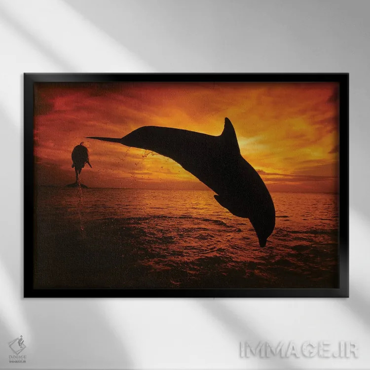 تابلو Tursiops Truncatus, Leap Into A Caribbean Sunset, Roatan, Honduras II,یک جفت دلفین بینیبطری اطلس (گونه: Tursiops truncatus) در حال پریدن به سوی غروب دریای کارائیب، روتان، هندوراس ۲ اثر دیوید فلیتهام - نمای قابدار مشکی