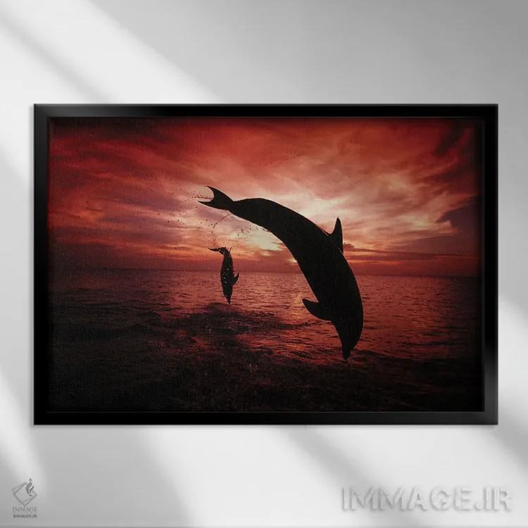 تابلو Tursiops Truncatus, Leap Into A Caribbean Sunset, Roatan, Honduras I,یک جفت دلفین بینیبطری اطلس (گونه: Tursiops truncatus) در حال پریدن به سوی غروب دریای کارائیب، روتان، هندوراس ۱ اثر دیوید فلیتهام - نمای قابدار مشکی