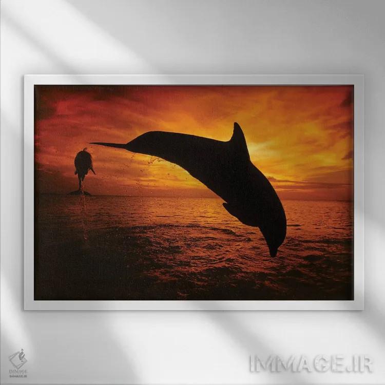 تابلو Tursiops Truncatus, Leap Into A Caribbean Sunset, Roatan, Honduras II,یک جفت دلفین بینیبطری اطلس (گونه: Tursiops truncatus) در حال پریدن به سوی غروب دریای کارائیب، روتان، هندوراس ۲ اثر دیوید فلیتهام - نمای قابدار سفید