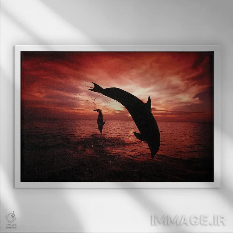 تابلو Tursiops Truncatus, Leap Into A Caribbean Sunset, Roatan, Honduras I,یک جفت دلفین بینیبطری اطلس (گونه: Tursiops truncatus) در حال پریدن به سوی غروب دریای کارائیب، روتان، هندوراس ۱ اثر دیوید فلیتهام - نمای قابدار سفید
