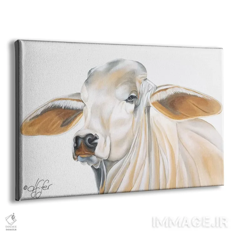 تابلو چینوچروک هم میتواند زیبا باشد اثر دایان فیفر - نمای پرسپکتیو محصول