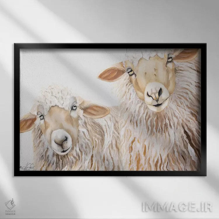 تابلو بعبع گوسفند سفید اثر دایان فیفر - نمای قابدار مشکی