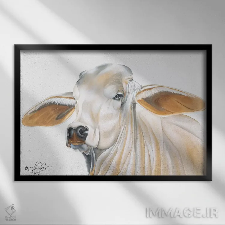 تابلو چینوچروک هم میتواند زیبا باشد اثر دایان فیفر - نمای قابدار مشکی