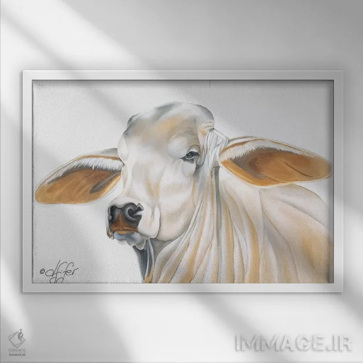 تابلو چینوچروک هم میتواند زیبا باشد اثر دایان فیفر - نمای قابدار سفید