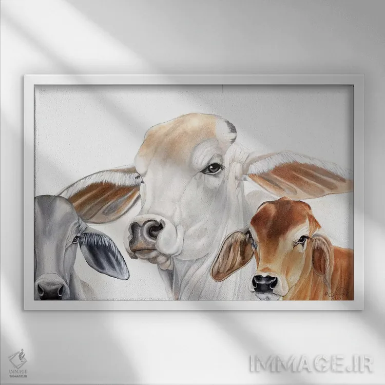 تابلو زندگی مزرعهای اثر دایان فیفر - نمای قابدار سفید