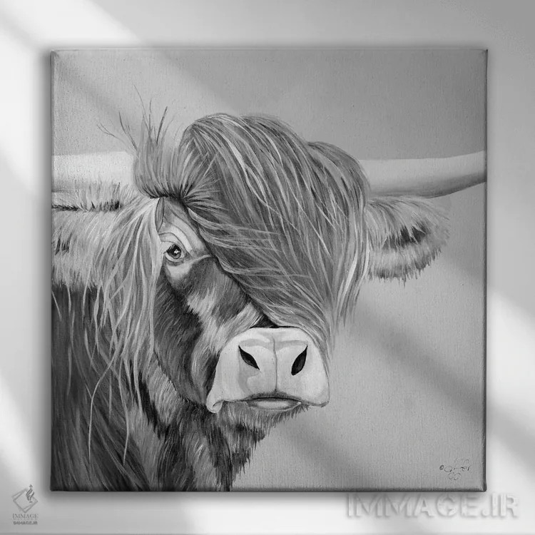 تابلو کوهدشت پشمالو اثر دایان فیفر - نمای روبهرو روی دیوار