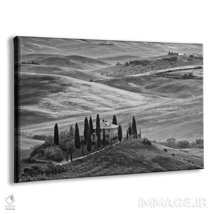 تابلو San Quirico d'Orcia, Siena Province, Tuscany Region, Italy,منظره روستایی سیاه و سفید، سنکوئریکو دورچیا، استان سیهنا، منطقه توسکانی، ایتالیا اثر دنیس فلهرتی - نمای پرسپکتیو محصول