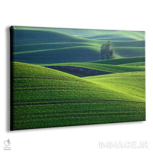 تابلو Palouse, Washington, USA,تپههای موجدار، پالوس، واشینگتن، ایالات متحده آمریکا اثر دنیس فلهرتی - نمای پرسپکتیو محصول