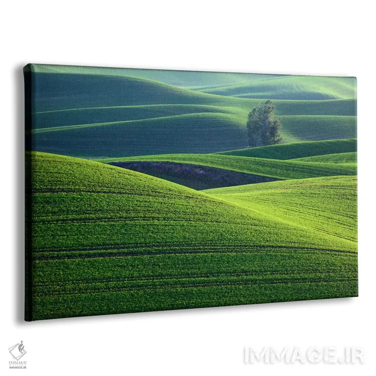 تابلو Palouse, Washington, USA,تپههای موجدار، پالوس، واشینگتن، ایالات متحده آمریکا اثر دنیس فلهرتی - نمای پرسپکتیو محصول