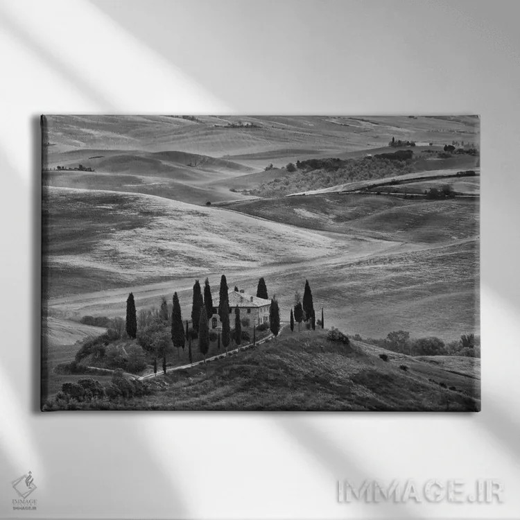 تابلو San Quirico d'Orcia, Siena Province, Tuscany Region, Italy,منظره روستایی سیاه و سفید، سنکوئریکو دورچیا، استان سیهنا، منطقه توسکانی، ایتالیا اثر دنیس فلهرتی - نمای روبهرو روی دیوار