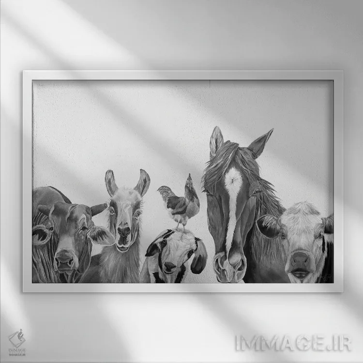 تابلو تیم مزرعه اثر دایان فیفر - نمای قابدار سفید