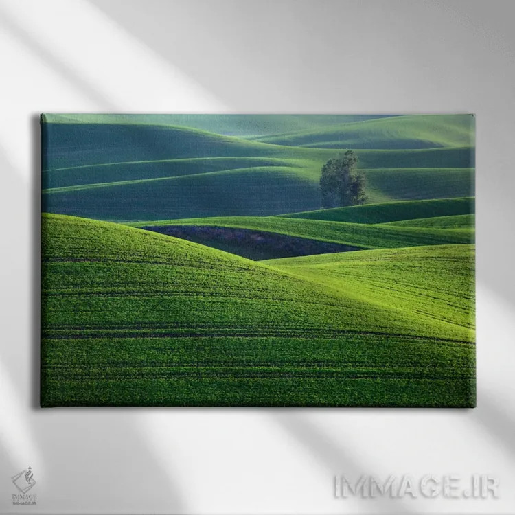 تابلو Palouse, Washington, USA,تپههای موجدار، پالوس، واشینگتن، ایالات متحده آمریکا اثر دنیس فلهرتی - نمای روبهرو روی دیوار