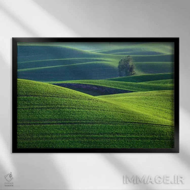 تابلو Palouse, Washington, USA,تپههای موجدار، پالوس، واشینگتن، ایالات متحده آمریکا اثر دنیس فلهرتی - نمای قابدار مشکی