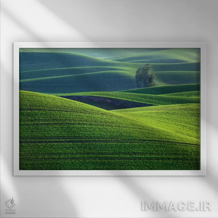 تابلو Palouse, Washington, USA,تپههای موجدار، پالوس، واشینگتن، ایالات متحده آمریکا اثر دنیس فلهرتی - نمای قابدار سفید