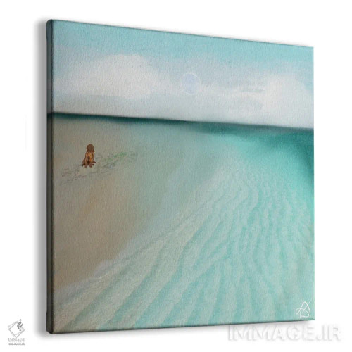 تابلو سگ در ساحل اثر دارلا فرارا - نمای پرسپکتیو محصول