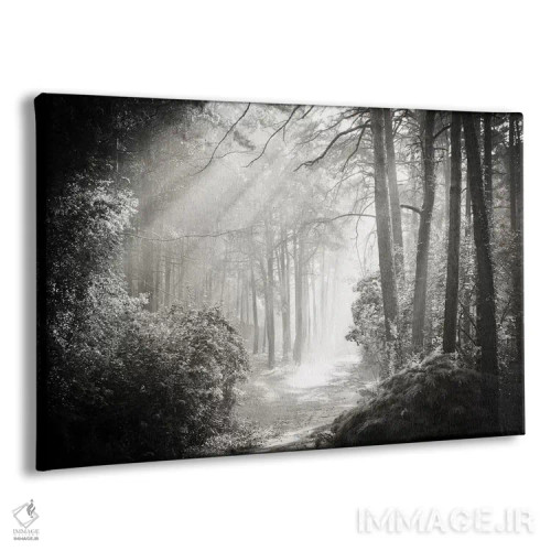 تابلو درون جنگل دو اثر دوریت فوگ - نمای پرسپکتیو محصول