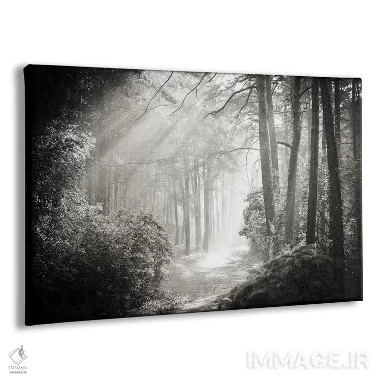 تابلو درون جنگل دو اثر دوریت فوگ - نمای پرسپکتیو محصول