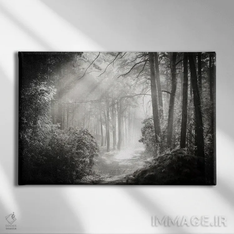 تابلو درون جنگل دو اثر دوریت فوگ - نمای روبهرو روی دیوار
